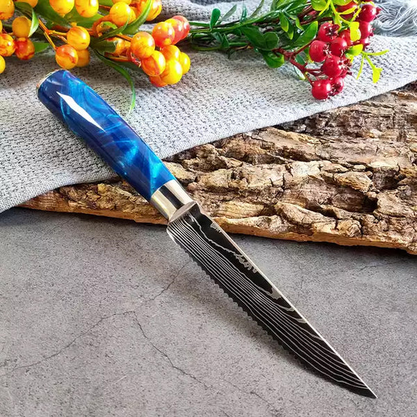Set of Four Pieces 4.5" Steak Knife with Resin Handle